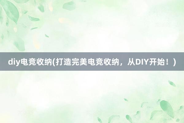 diy电竞收纳(打造完美电竞收纳，从DIY开始！)