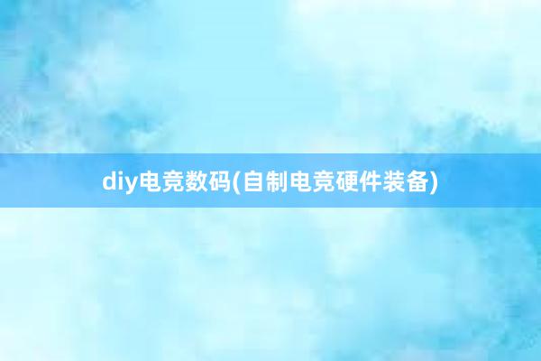 diy电竞数码(自制电竞硬件装备)