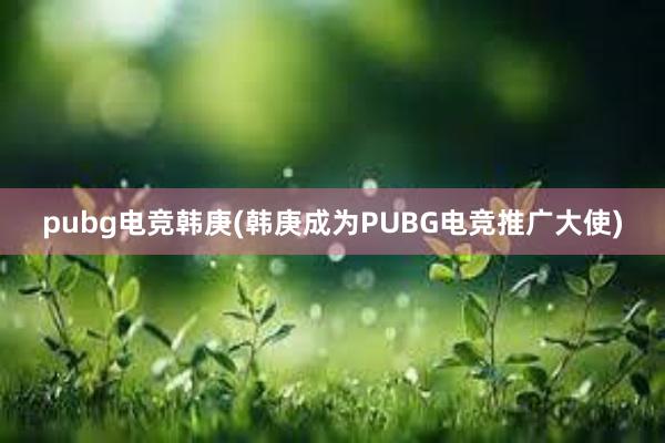 pubg电竞韩庚(韩庚成为PUBG电竞推广大使)