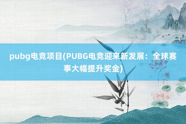 pubg电竞项目(PUBG电竞迎来新发展：全球赛事大幅提升奖金)