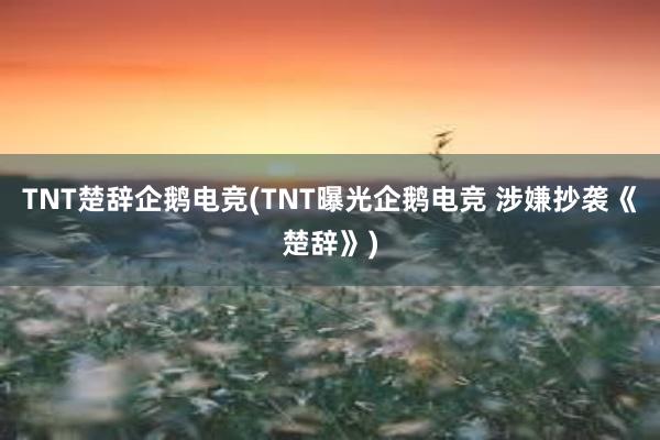 TNT楚辞企鹅电竞(TNT曝光企鹅电竞 涉嫌抄袭《楚辞》)