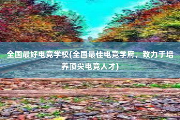 全国最好电竞学校(全国最佳电竞学府，致力于培养顶尖电竞人才)