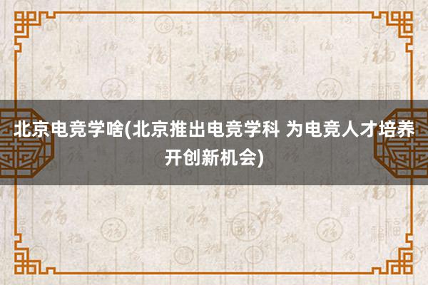 北京电竞学啥(北京推出电竞学科 为电竞人才培养开创新机会)