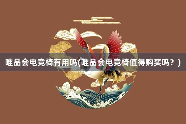 唯品会电竞椅有用吗(唯品会电竞椅值得购买吗？)