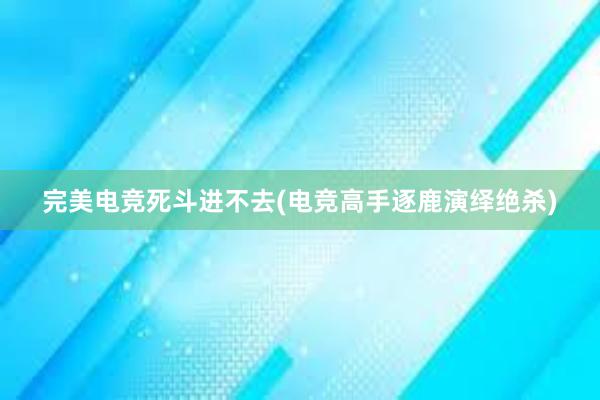 完美电竞死斗进不去(电竞高手逐鹿演绎绝杀)