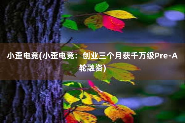 小歪电竞(小歪电竞：创业三个月获千万级Pre-A轮融资)