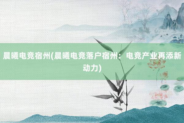 晨曦电竞宿州(晨曦电竞落户宿州：电竞产业再添新动力)