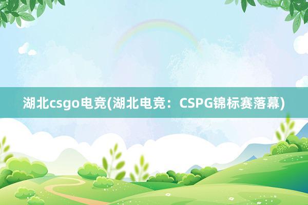 湖北csgo电竞(湖北电竞：CSPG锦标赛落幕)