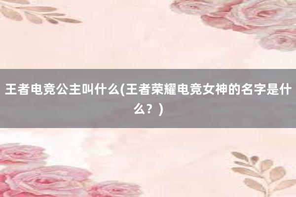 王者电竞公主叫什么(王者荣耀电竞女神的名字是什么？)