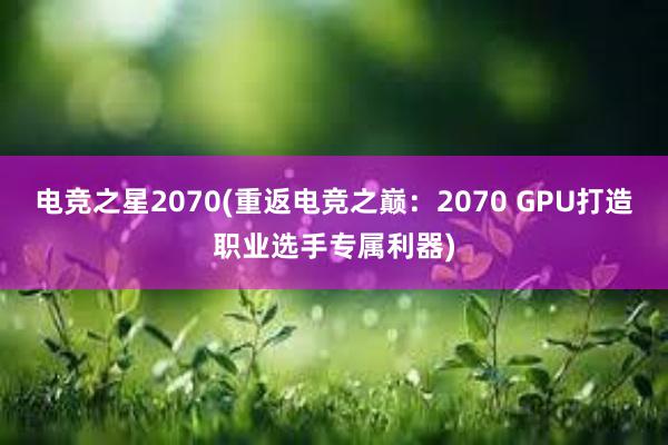 电竞之星2070(重返电竞之巅：2070 GPU打造职业选手专属利器)