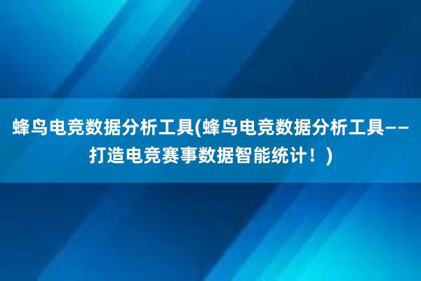 蜂鸟电竞数据分析工具(蜂鸟电竞数据分析工具——打造电竞赛事数据智能统计！)