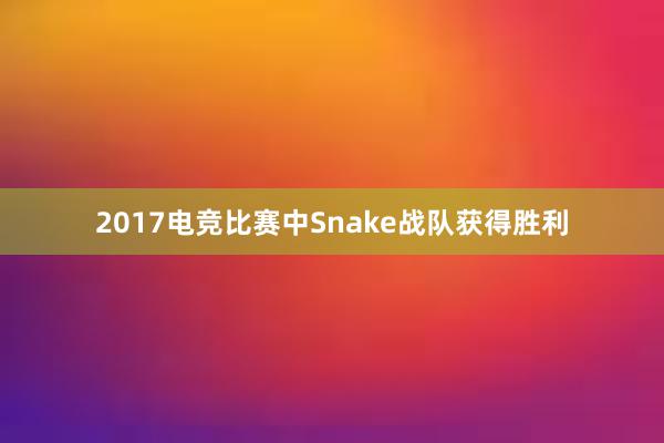 2017电竞比赛中Snake战队获得胜利