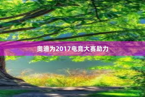 奥迪为2017电竞大赛助力