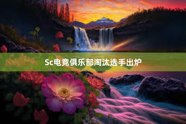 Sc电竞俱乐部淘汰选手出炉