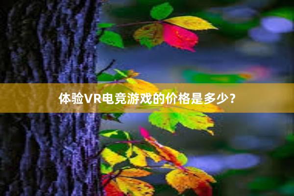 体验VR电竞游戏的价格是多少？