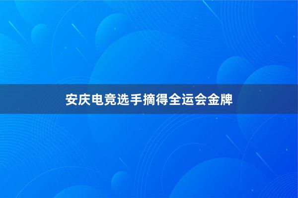 安庆电竞选手摘得全运会金牌