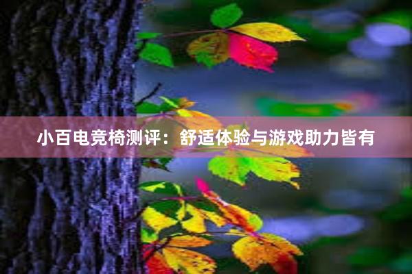 小百电竞椅测评：舒适体验与游戏助力皆有