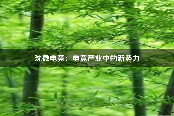 沈微电竞：电竞产业中的新势力