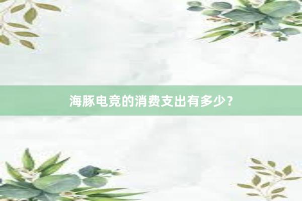 海豚电竞的消费支出有多少？