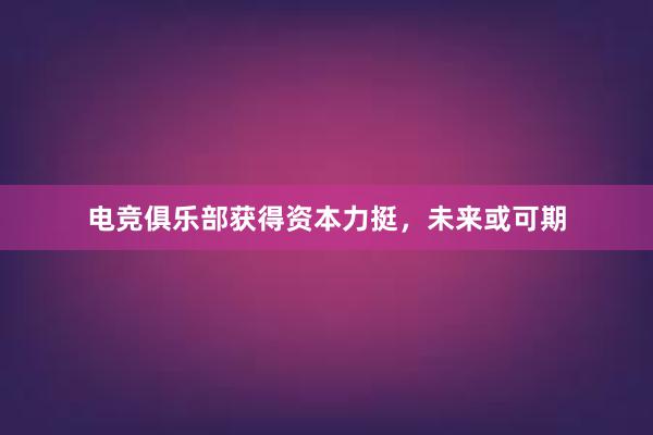 电竞俱乐部获得资本力挺，未来或可期