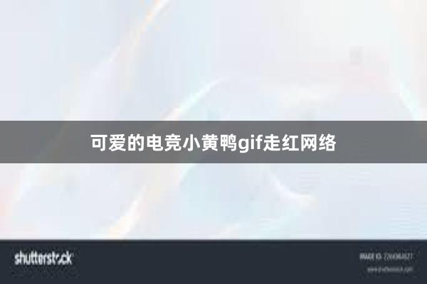 可爱的电竞小黄鸭gif走红网络