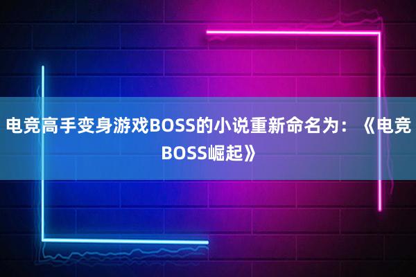 电竞高手变身游戏BOSS的小说重新命名为：《电竞BOSS崛起》