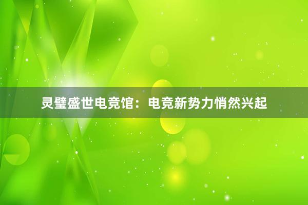 灵璧盛世电竞馆：电竞新势力悄然兴起